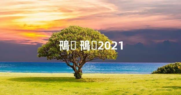 鳵۸ 鳵۸2021